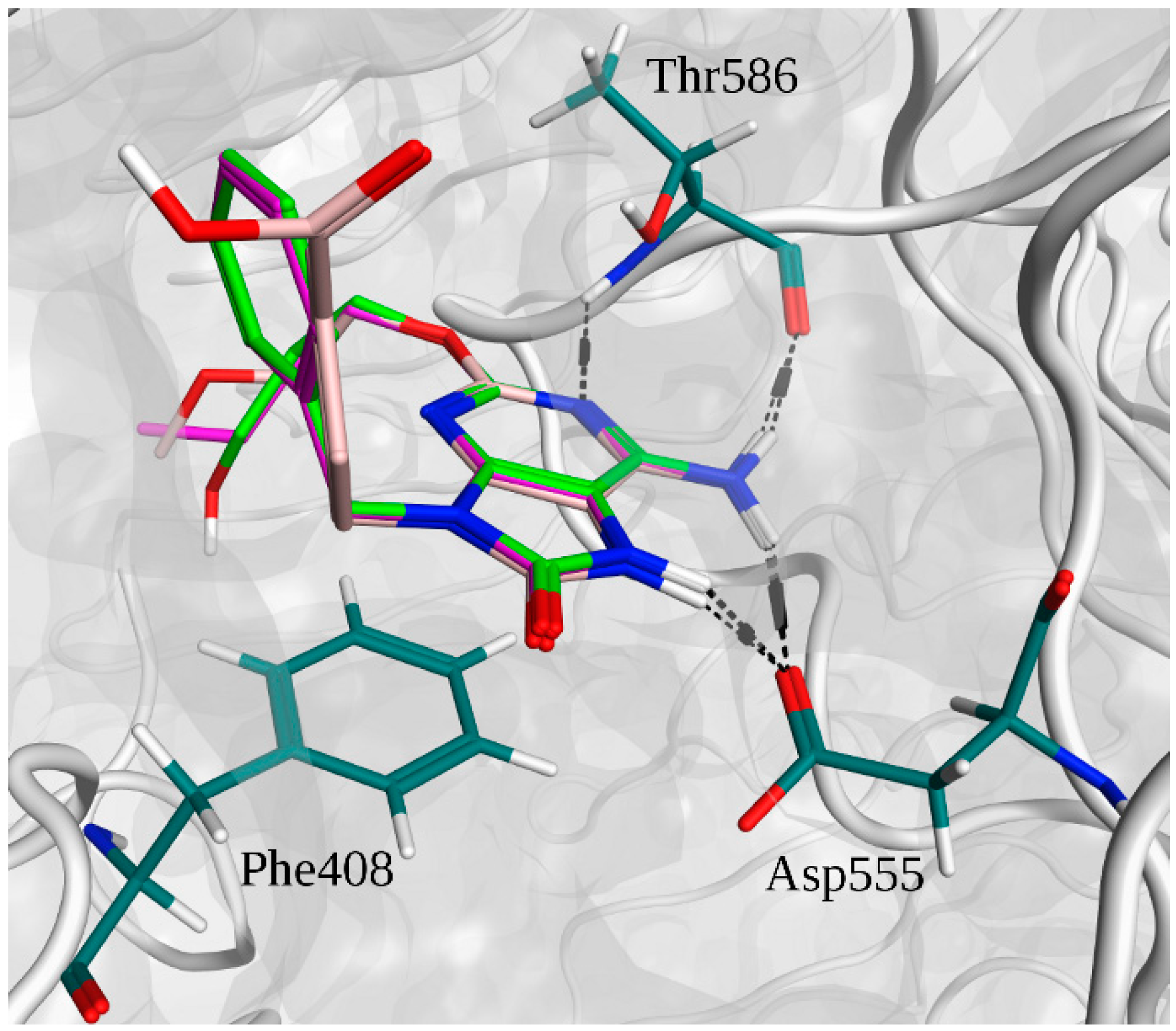 Molecules 20 08316 g005