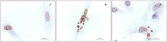 Molecules 20 08409 g004 550