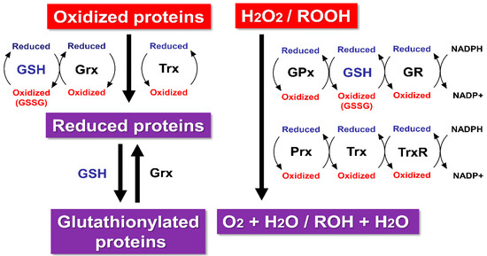 Molecules 20 08742 g001 550