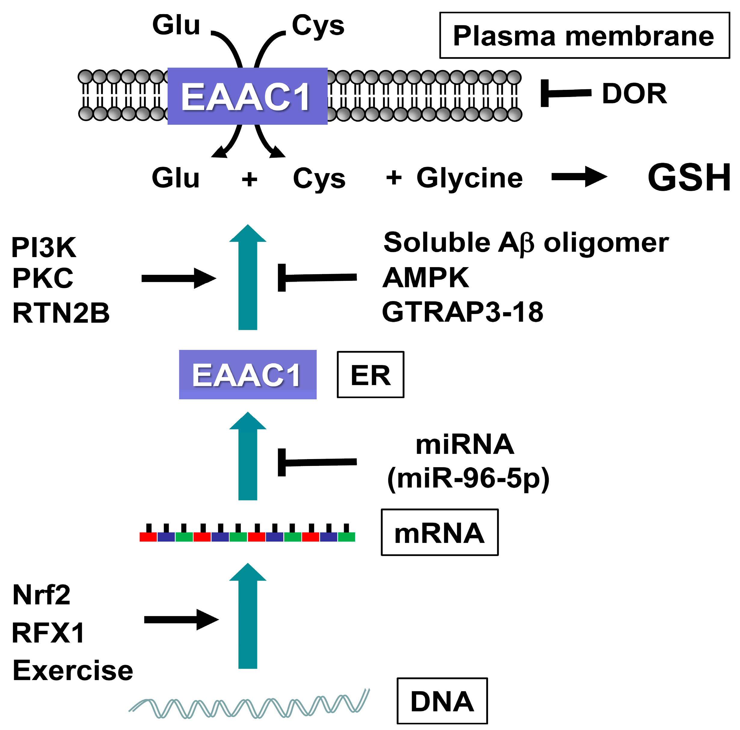 Molecules 20 08742 g002