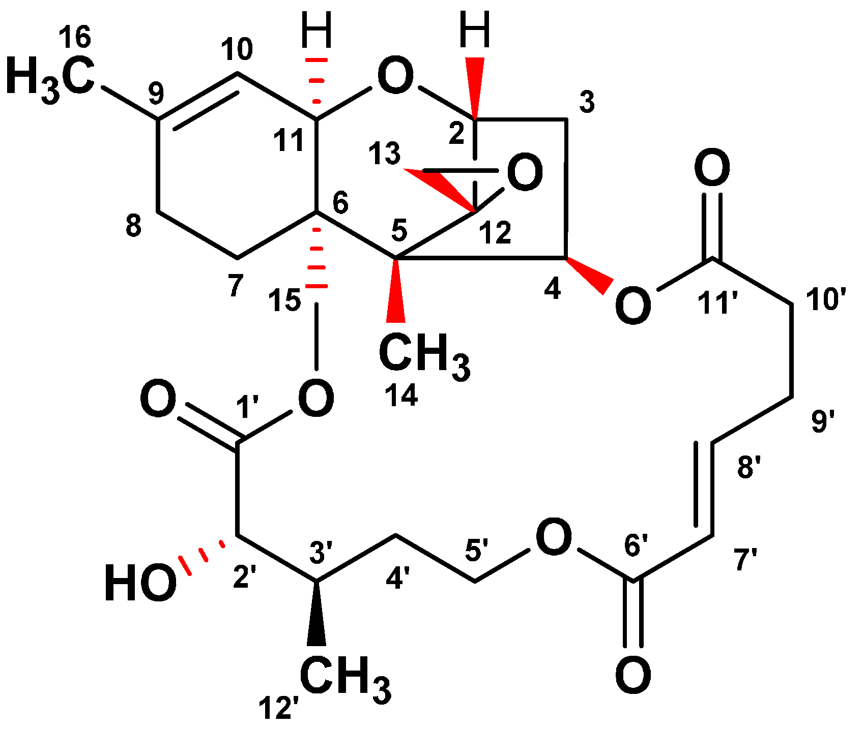 Molecules 20 08988 g001