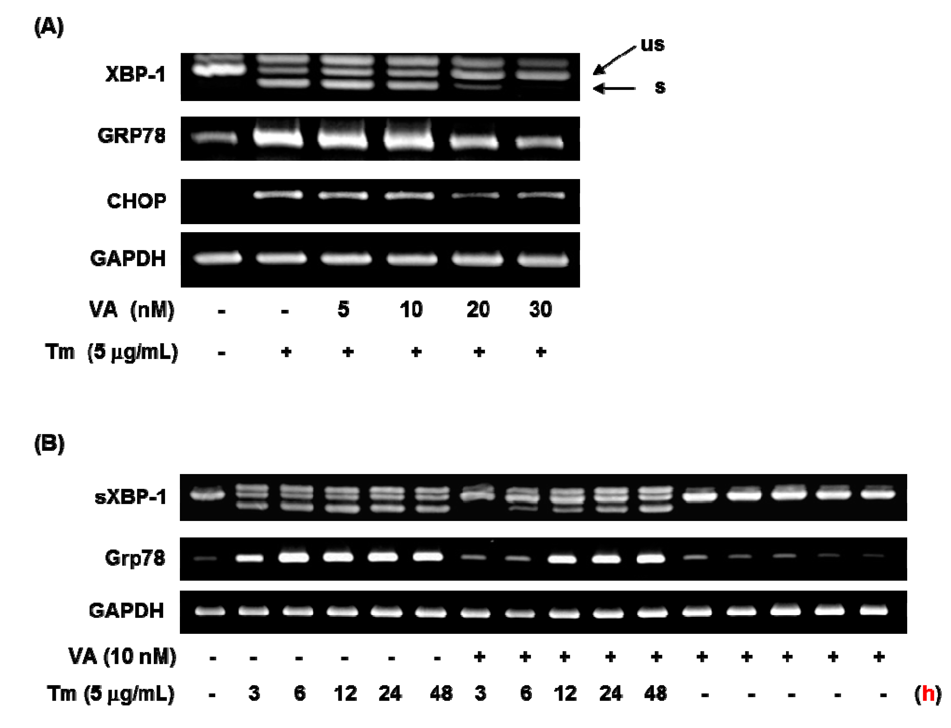 Molecules 20 08988 g004