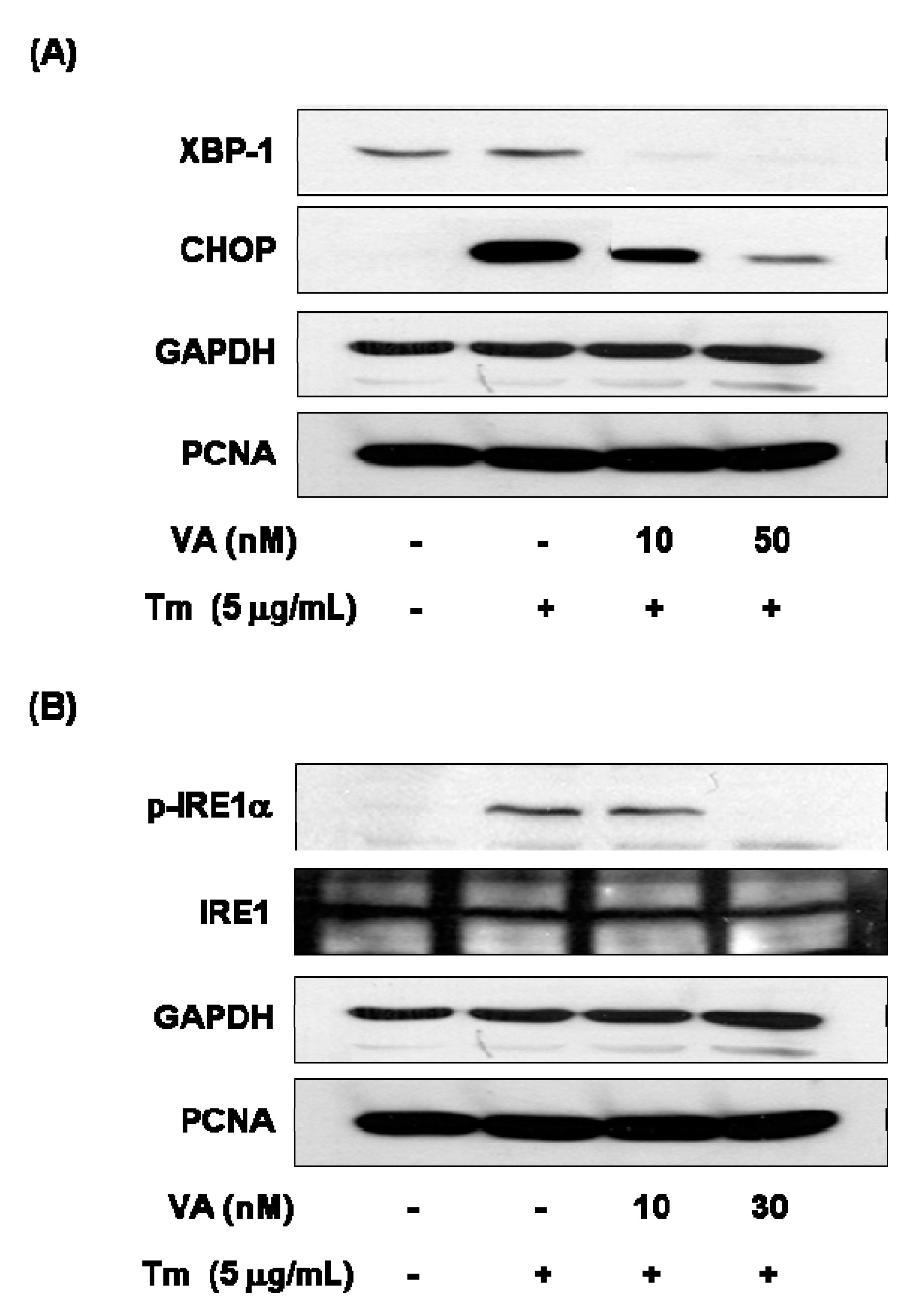 Molecules 20 08988 g005