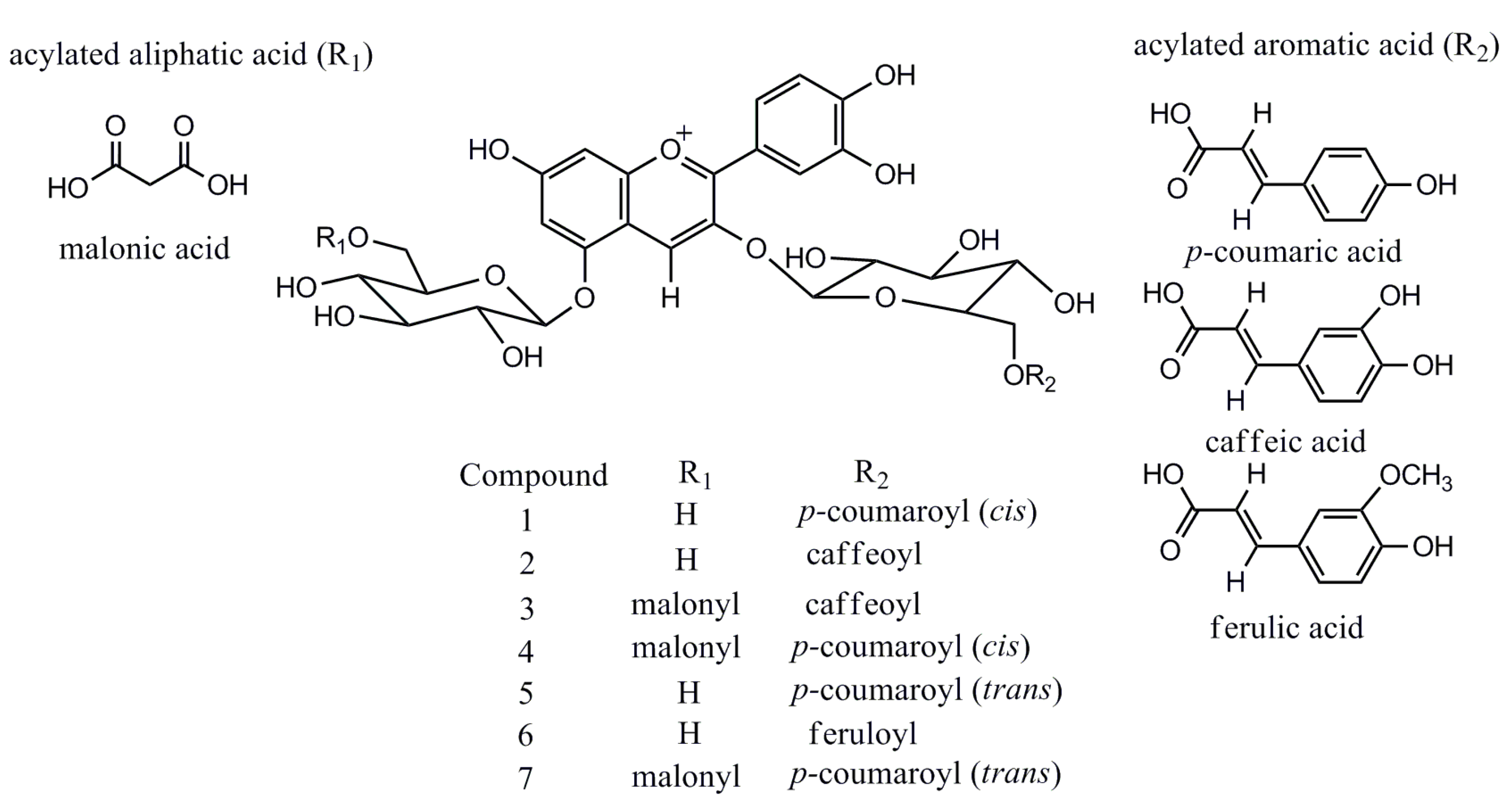 Molecules 20 09155 g003