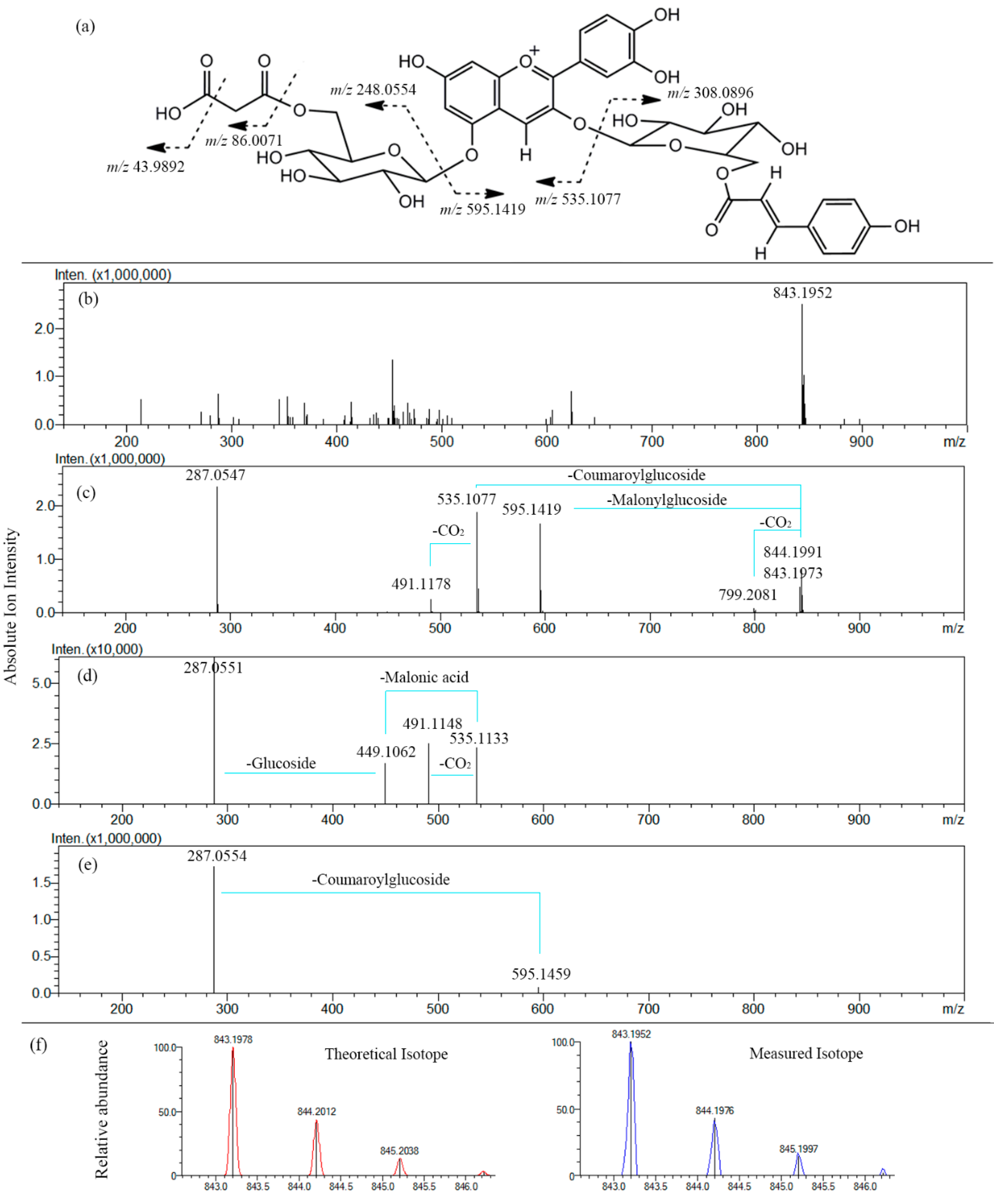 Molecules 20 09155 g004