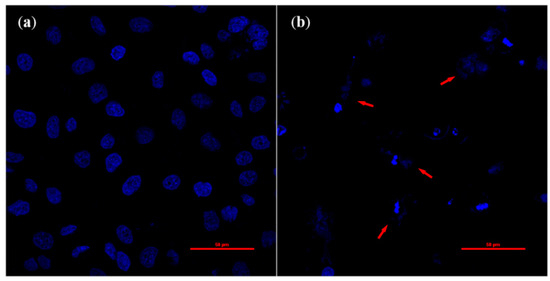 Molecules 20 09155 g005 550