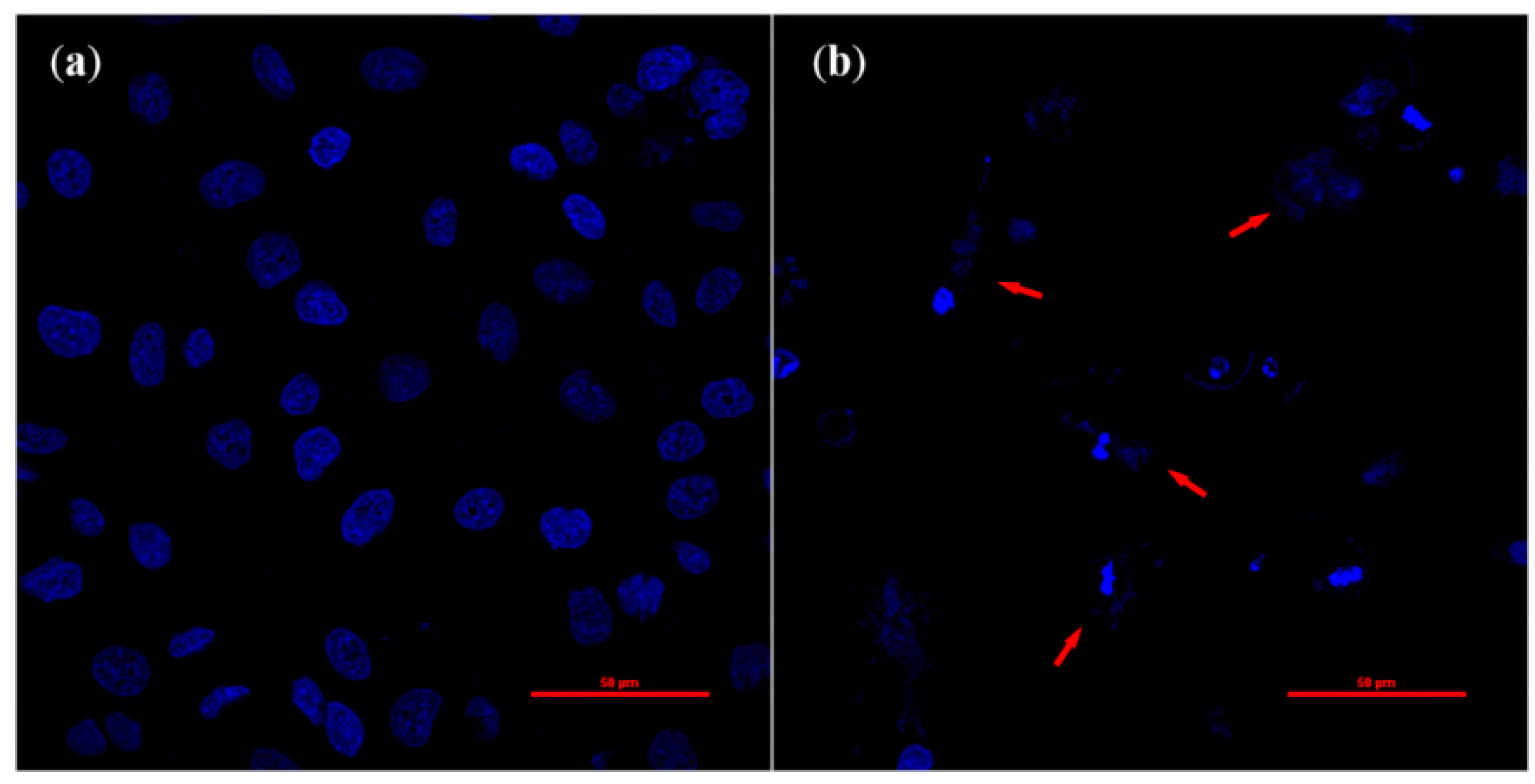 Molecules 20 09155 g005