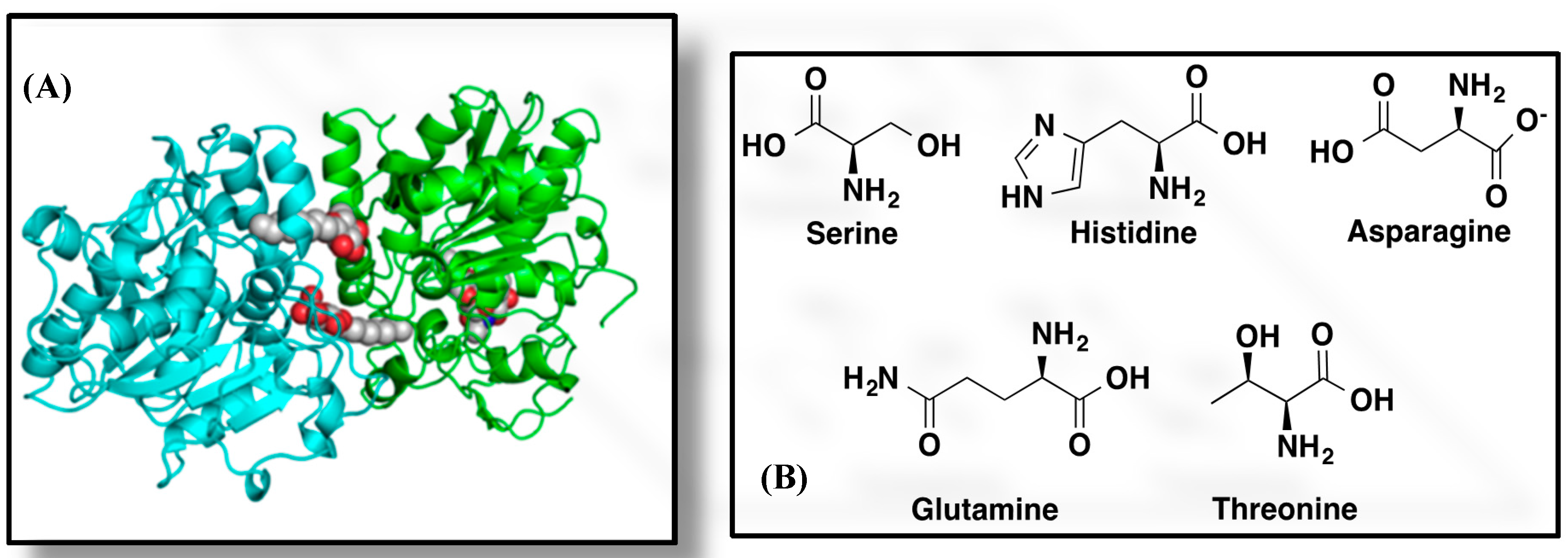 Molecules 20 09358 g002