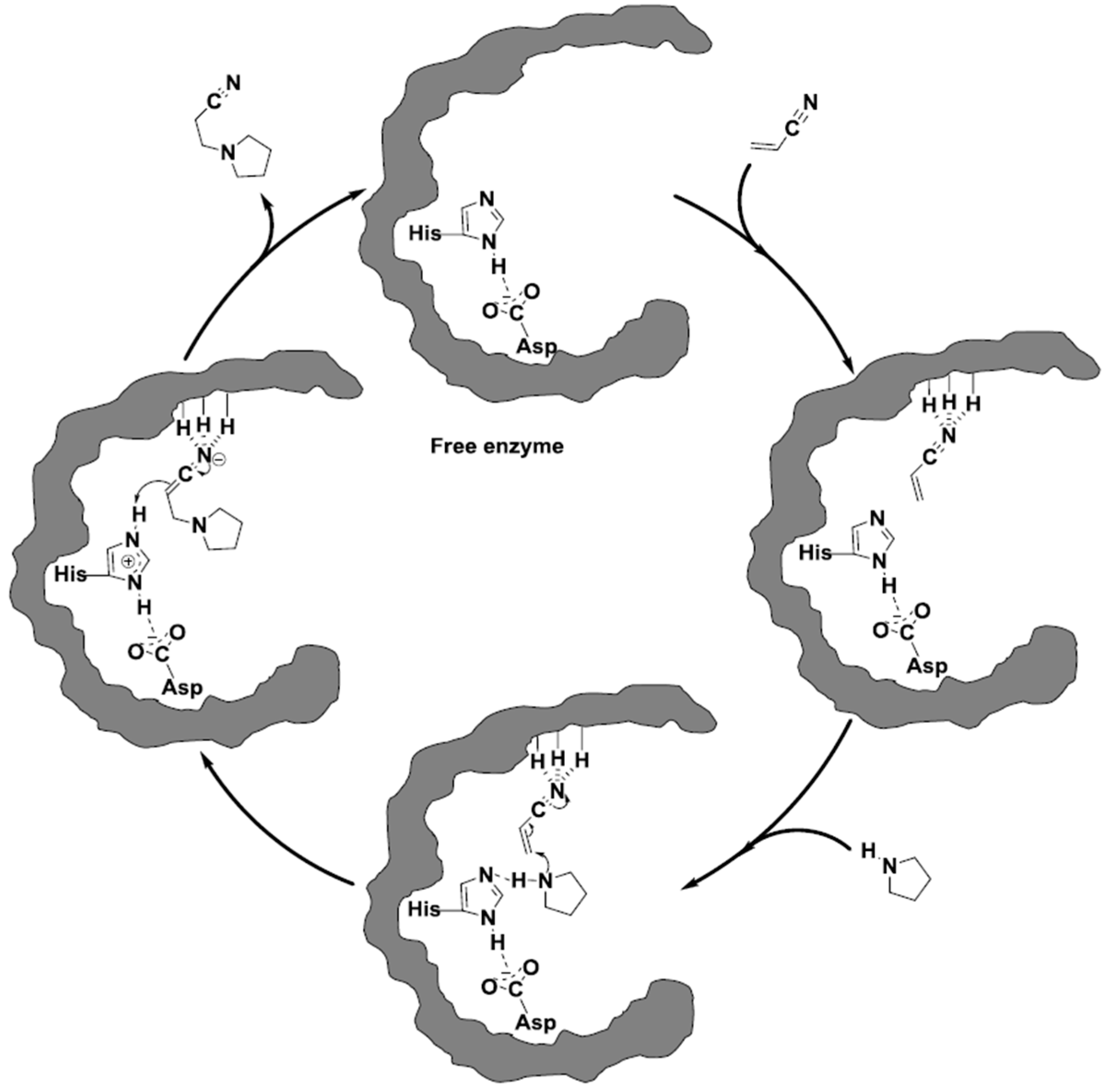 Molecules 20 09358 g006