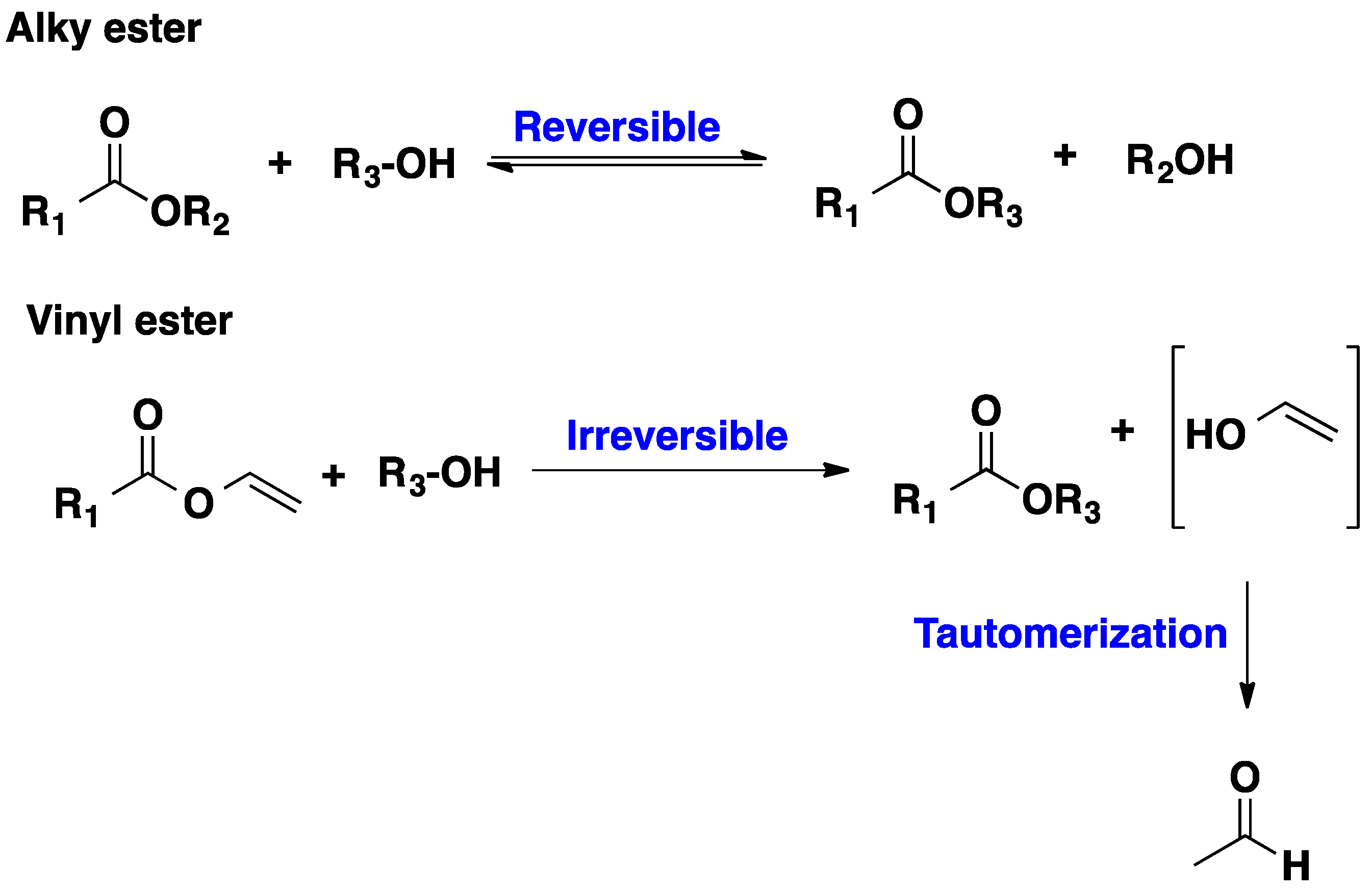 Molecules 20 09358 g008