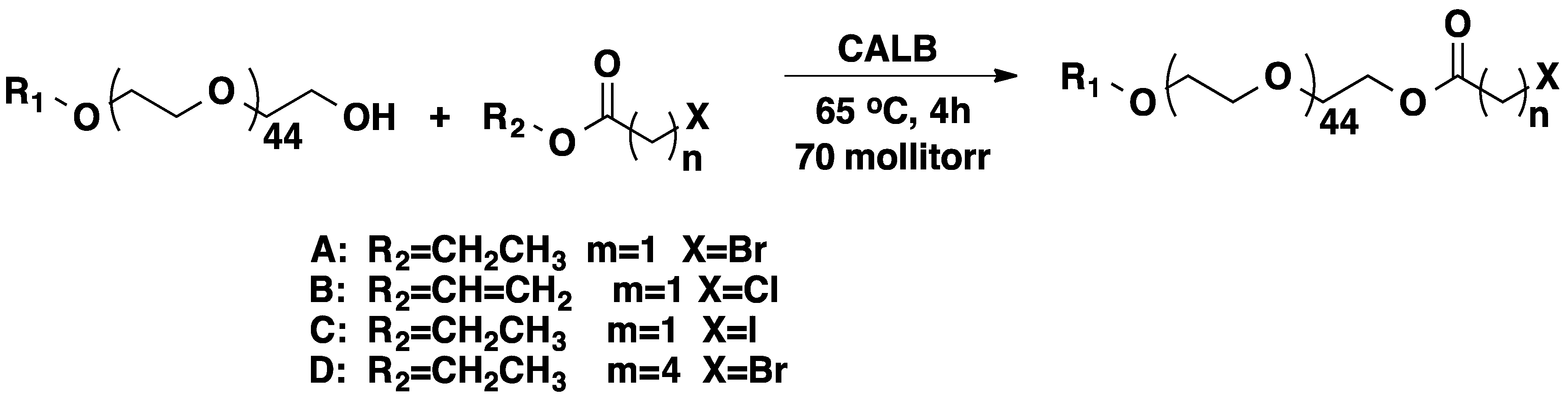 Molecules 20 09358 g015