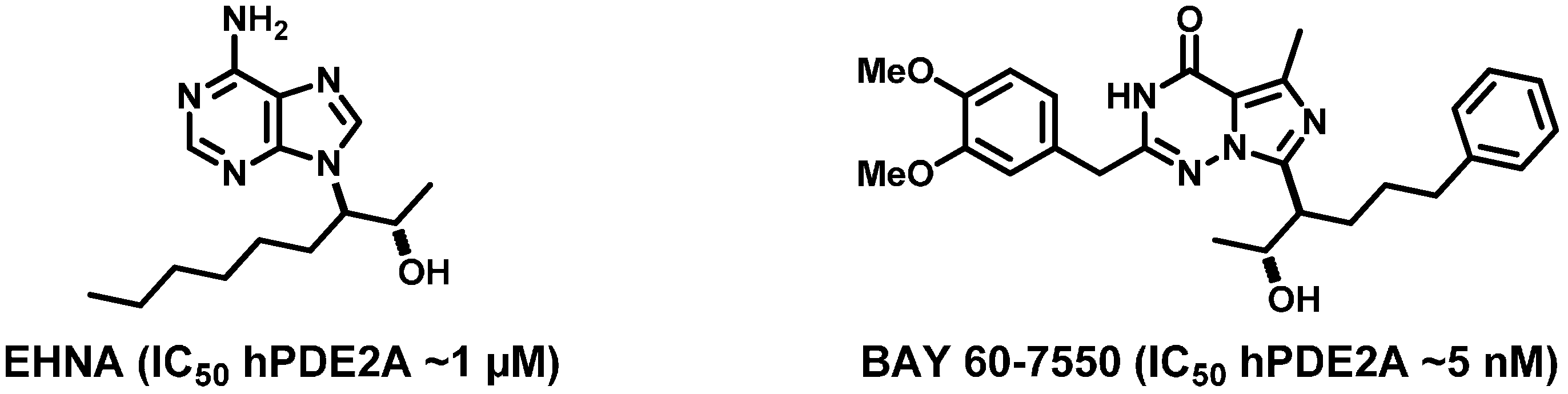 Molecules 20 09591 g001