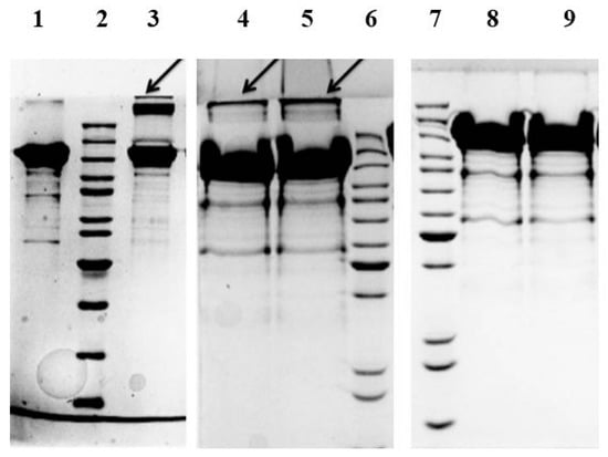 Molecules 20 09847 g002 550