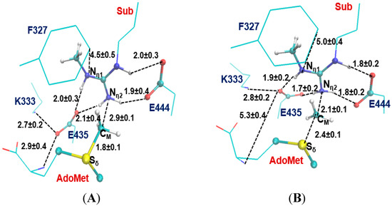 Molecules 20 10032 g006 550
