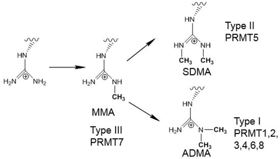 Molecules 20 10032 g009 550