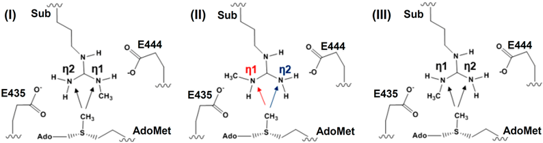 Molecules 20 10032 i001