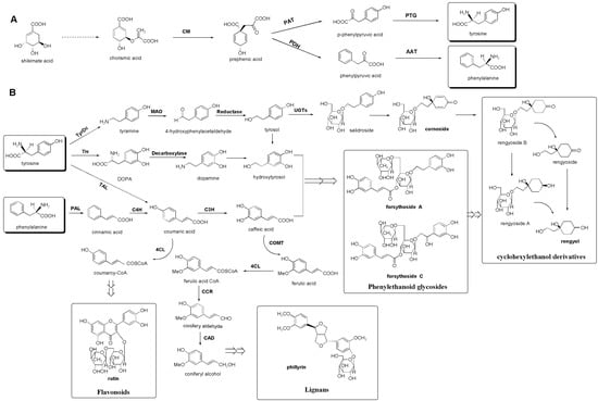 Molecules 20 10065 g004 550