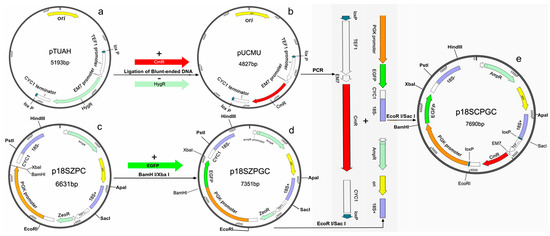 Molecules 20 10110 g001 550
