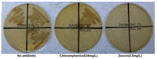Molecules 20 10110 g003 550