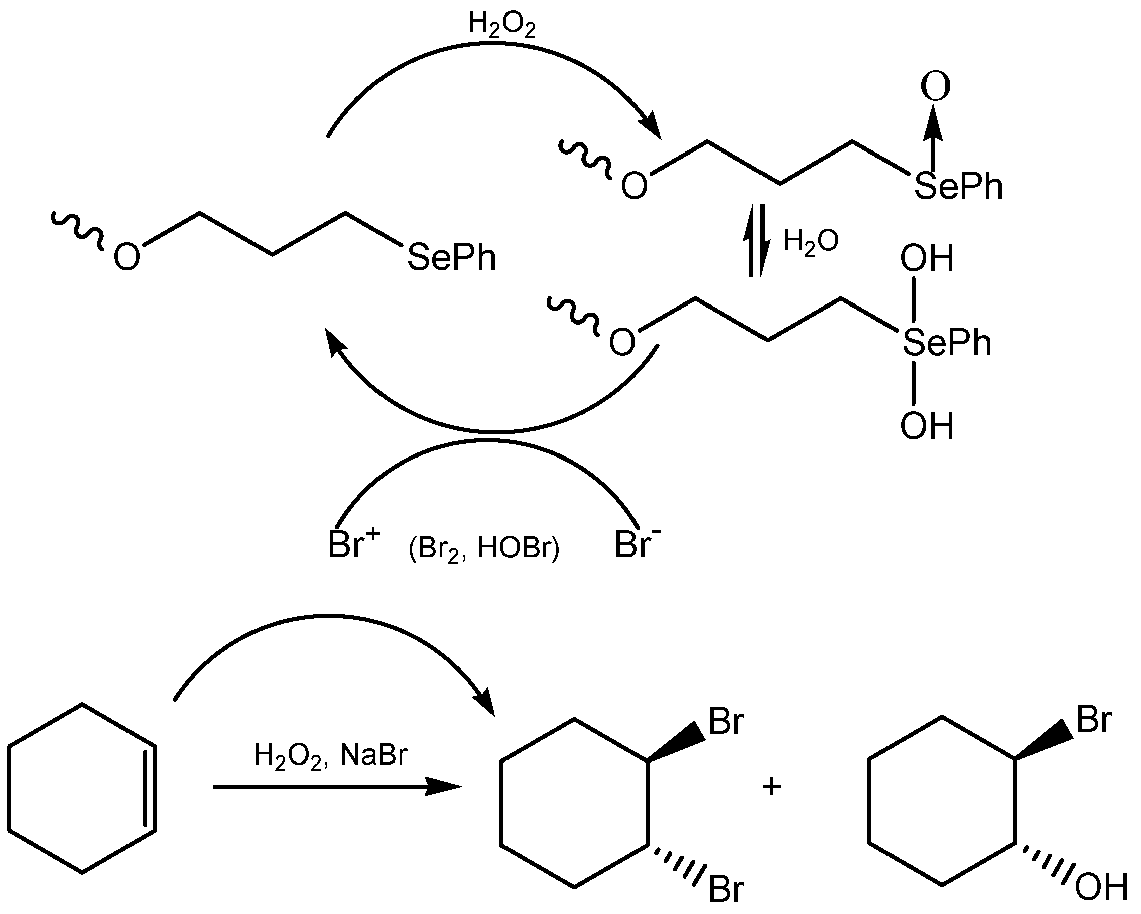 Molecules 20 10205 g020