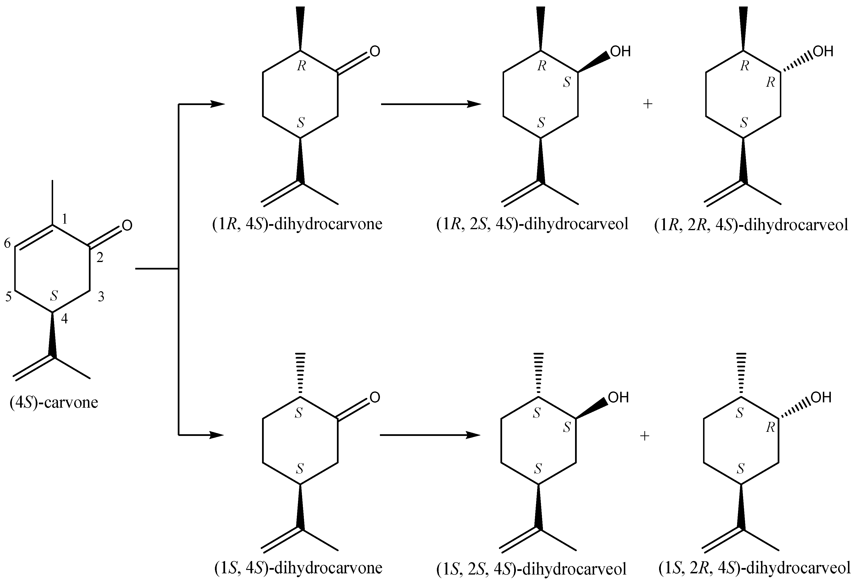Molecules 20 10377 g005