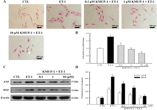 Molecules 20 10435 g001 550