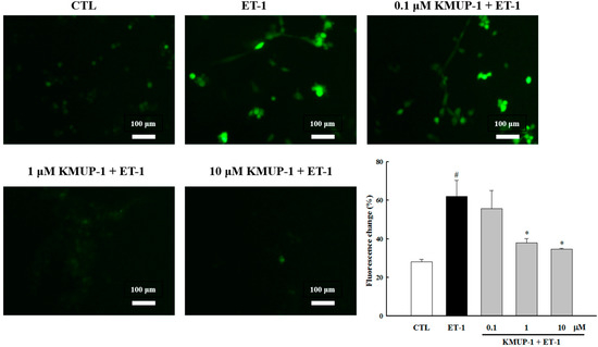 Molecules 20 10435 g002 550