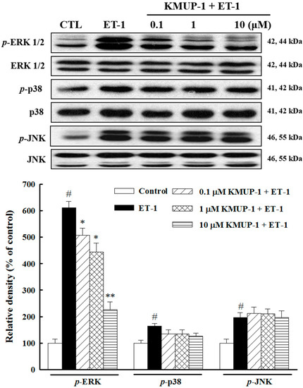 Molecules 20 10435 g003 550