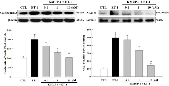 Molecules 20 10435 g005 550