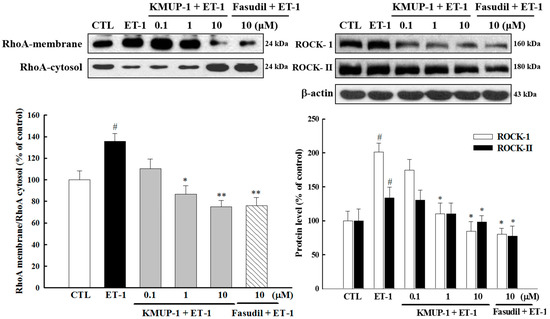 Molecules 20 10435 g006 550