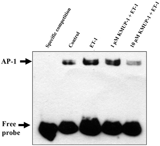 Molecules 20 10435 g008 550