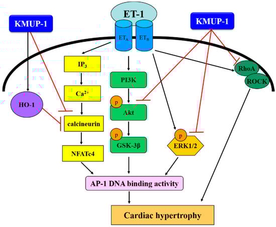 Molecules 20 10435 g009 550