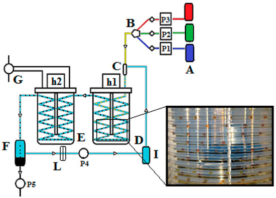 Molecules 20 10566 g001 550