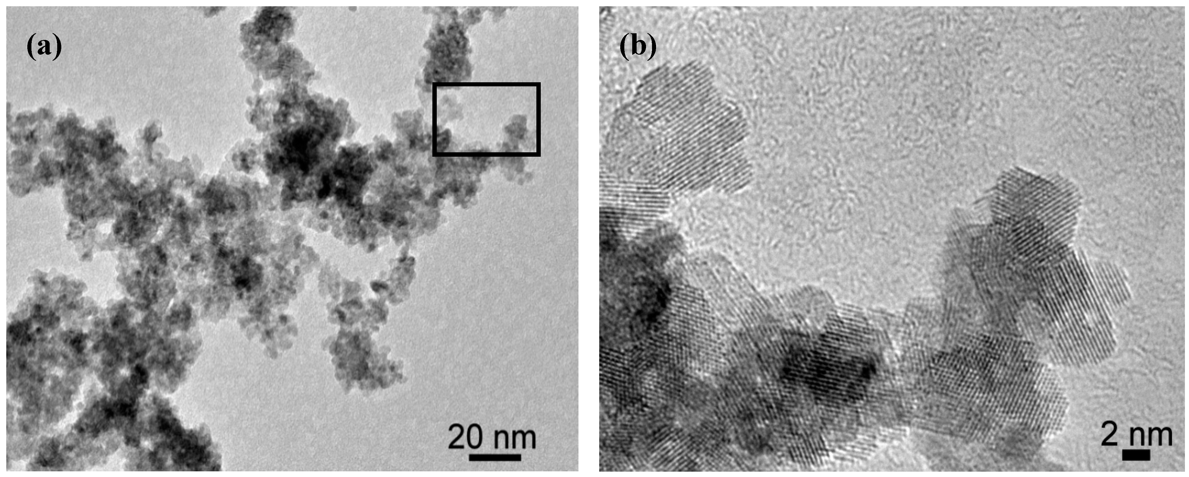 Molecules 20 10566 g002