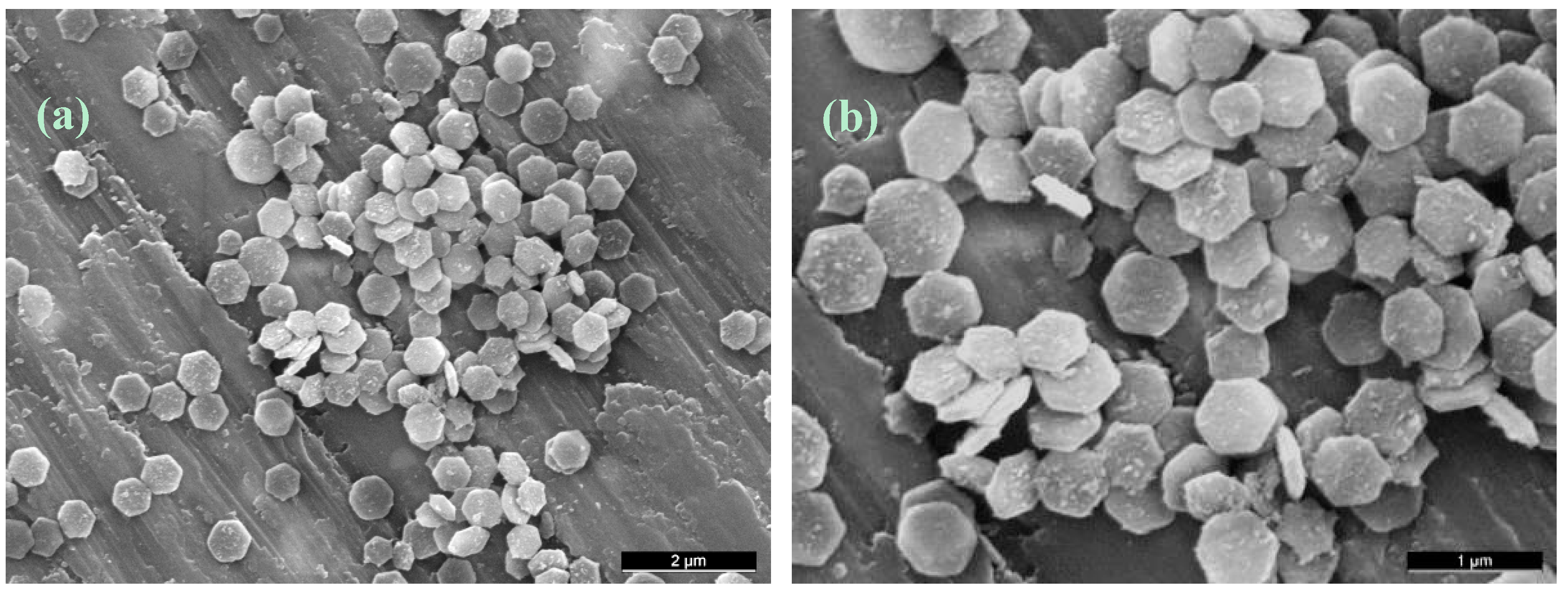 Molecules 20 10566 g006