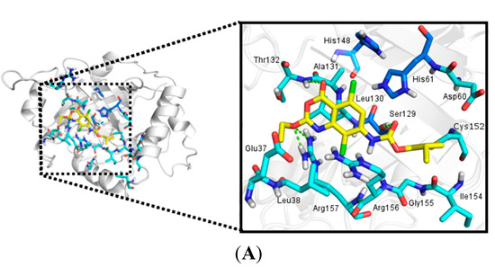 Molecules 20 10689 g003a 550