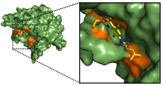 Molecules 20 10689 g003b 550