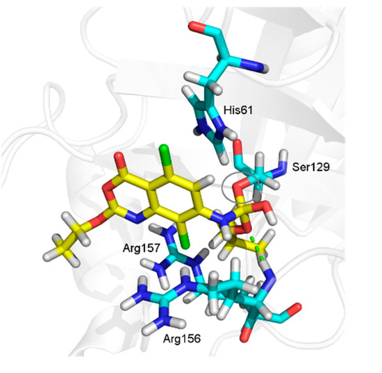 Molecules 20 10689 g007 550