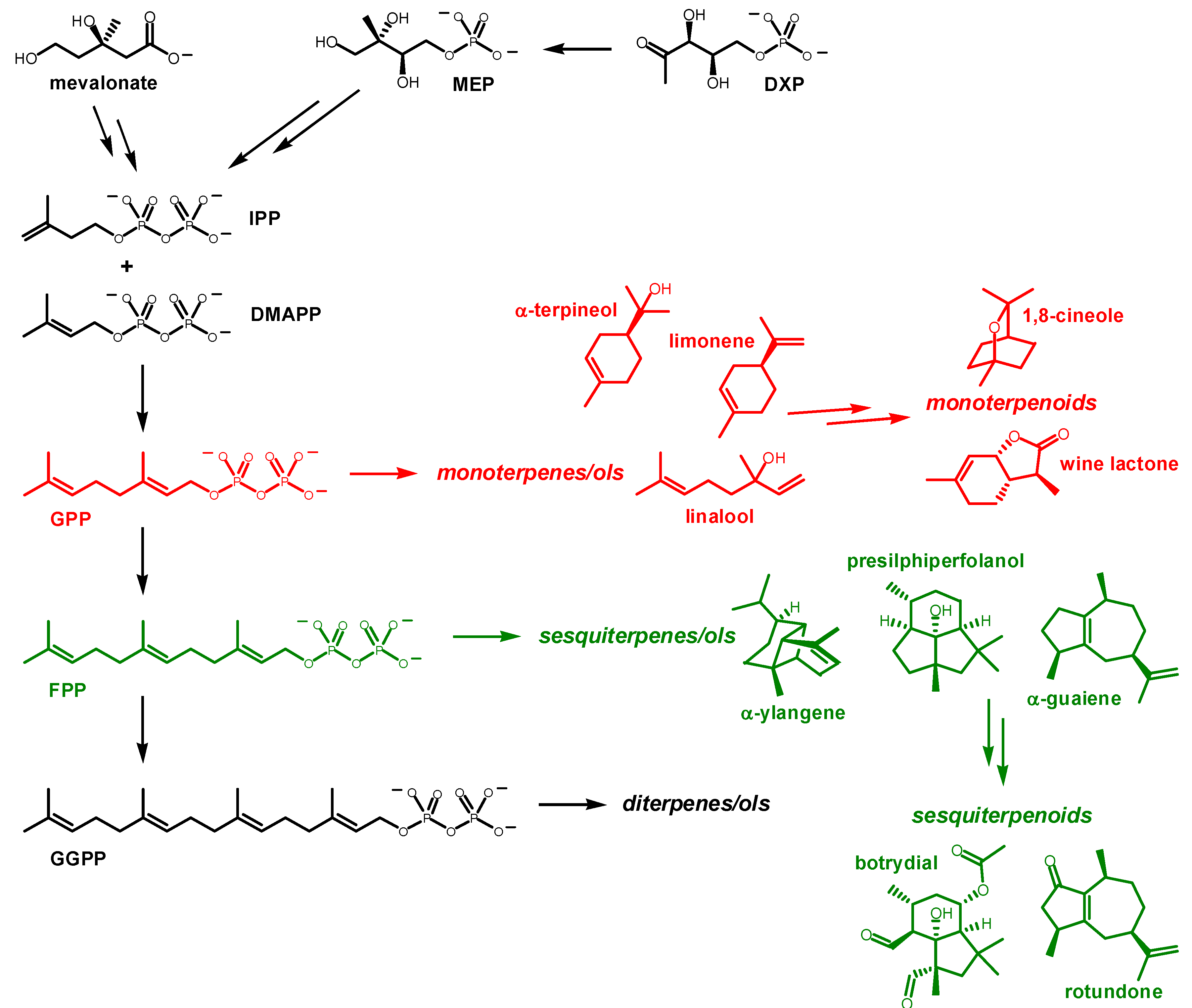 Molecules 20 10781 g001