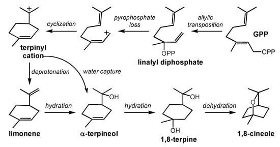 Molecules 20 10781 g002 550