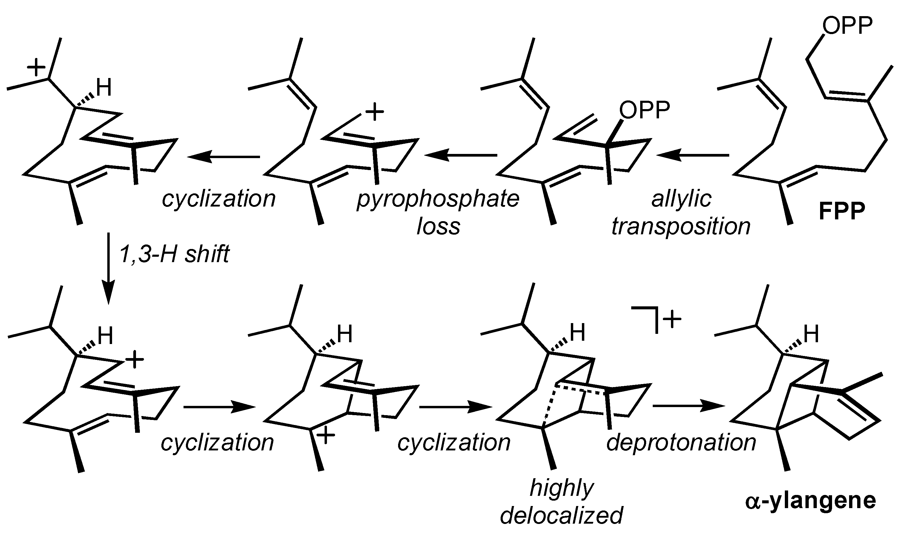 Molecules 20 10781 g003