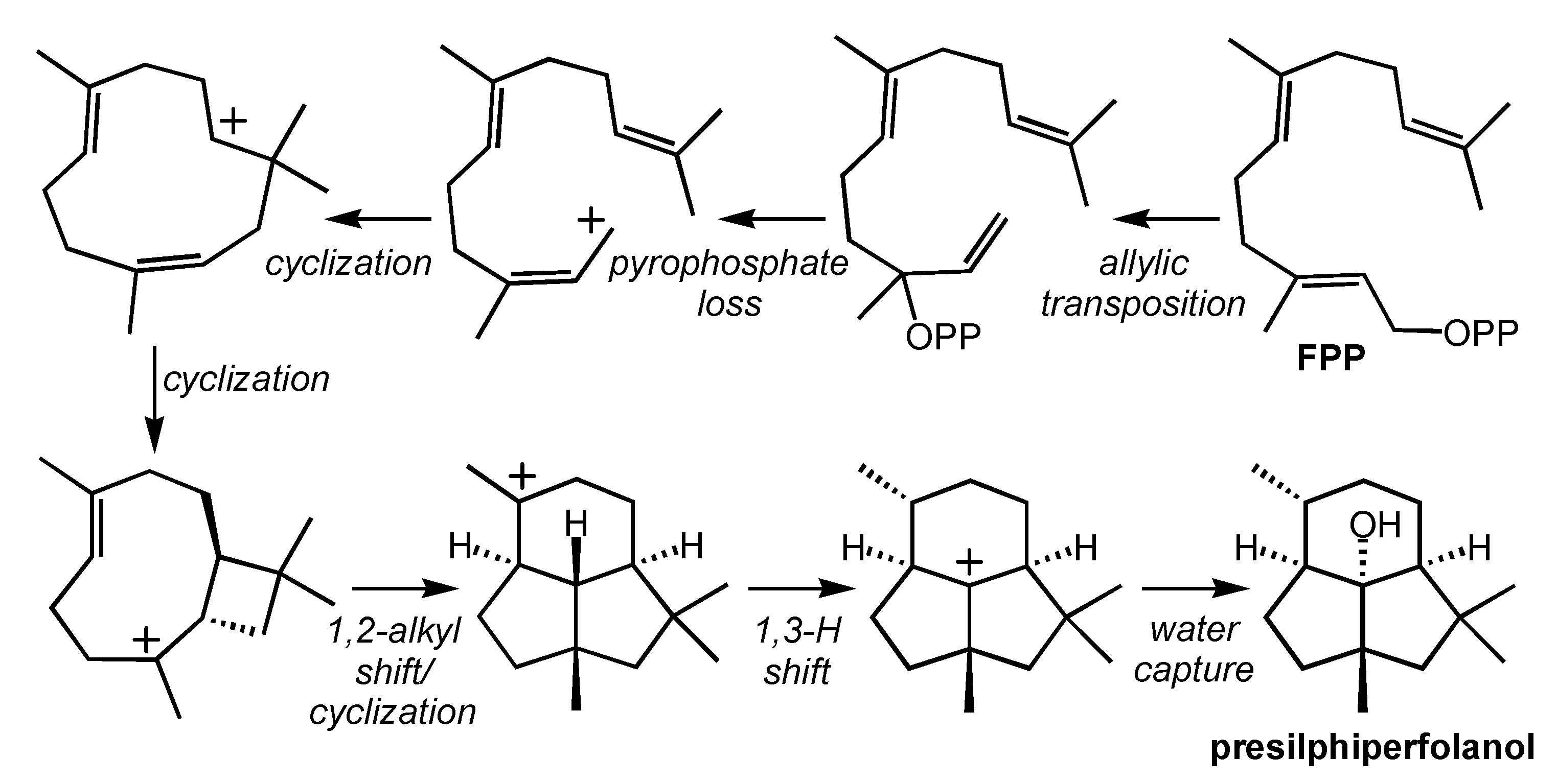 Molecules 20 10781 g004