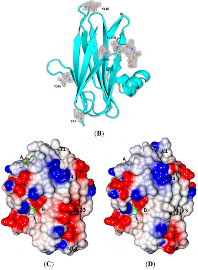 Molecules 20 10848 g002b 550
