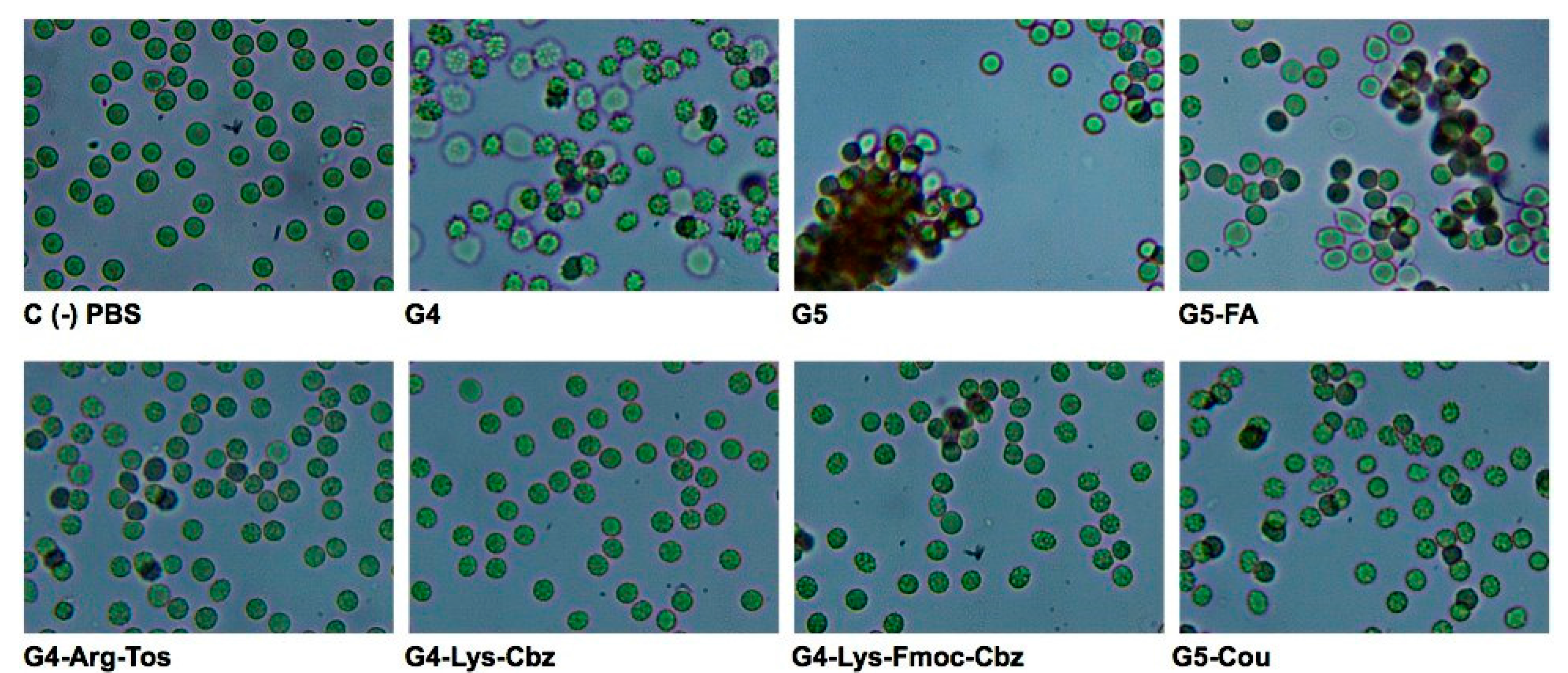 Molecules 20 11017 g004