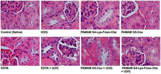 Molecules 20 11017 g006 550
