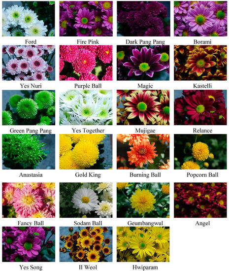 Molecules 20 11090 g002 550