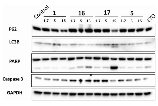 Molecules 20 11387 g004 550