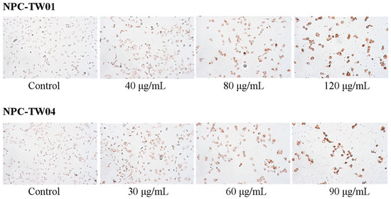 Molecules 20 11508 g005 550