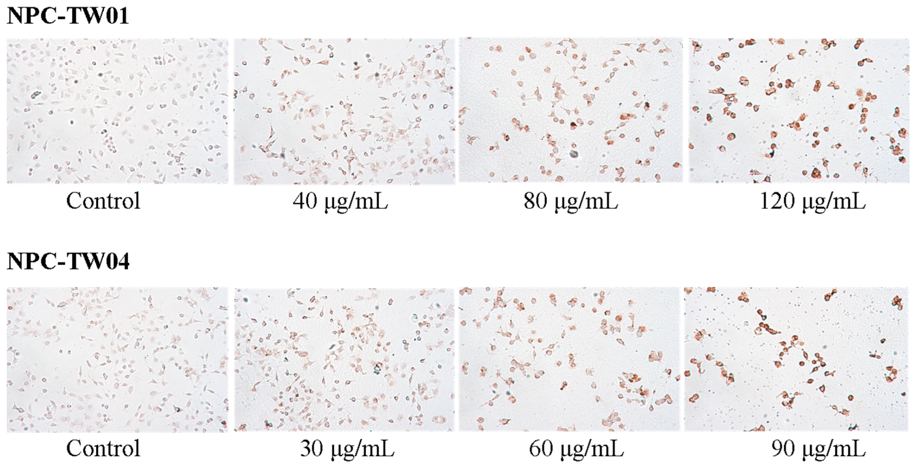 Molecules 20 11508 g005