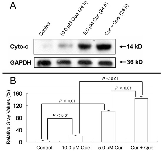 Molecules 20 11524 g005 550
